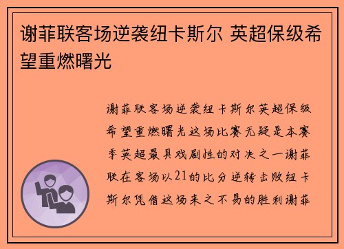 谢菲联客场逆袭纽卡斯尔 英超保级希望重燃曙光 谢菲联客场逆袭纽卡斯尔 英超保级希望重燃曙光
